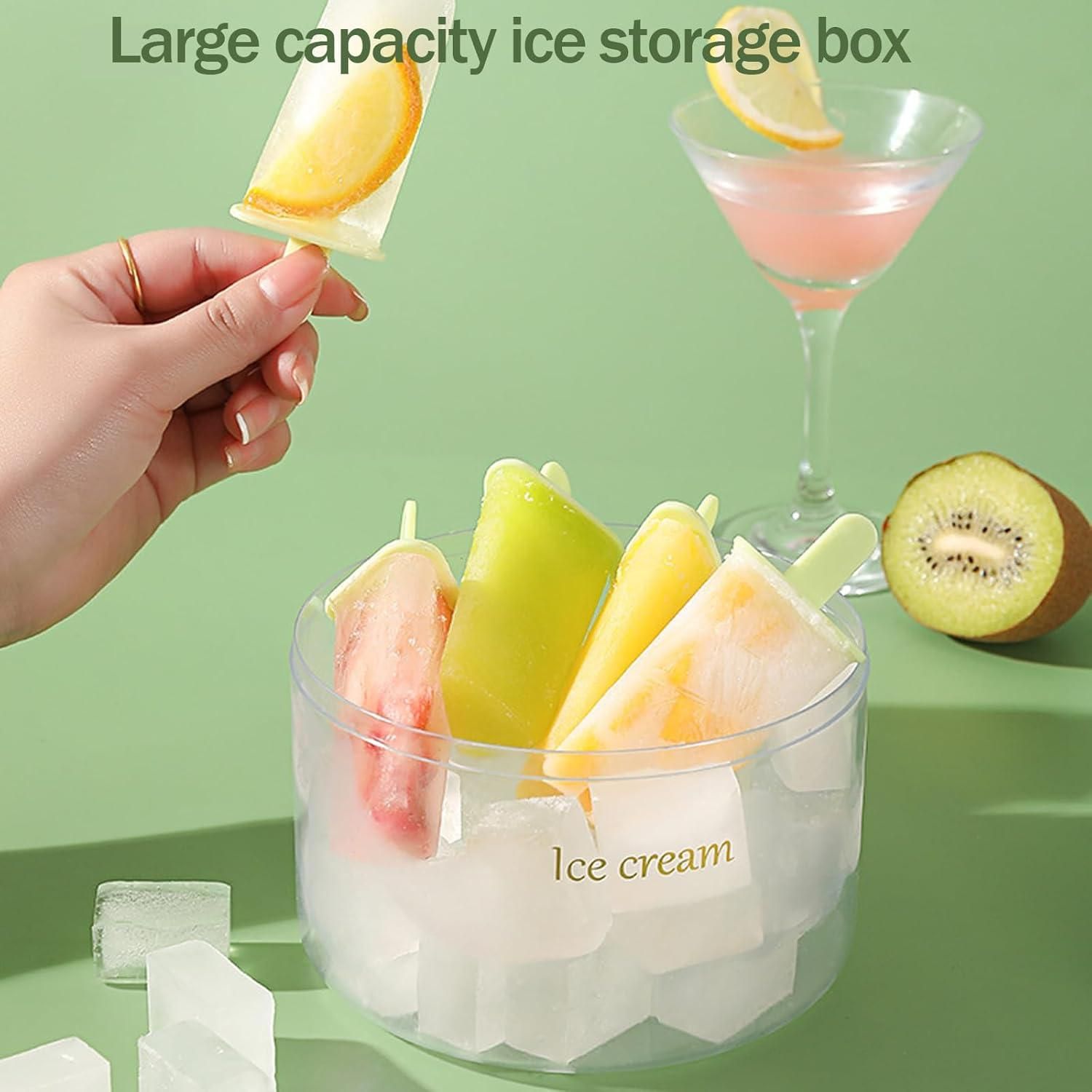 Reusable 8 Pieces Ice Pop Mould - RASOI GADGETS