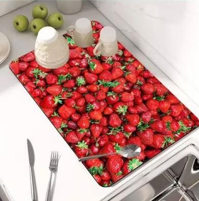 DISH DRYING MAT - RASOI GADGETS